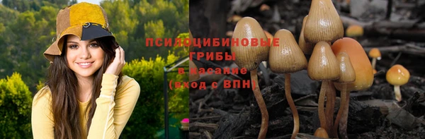 бошки Щучье