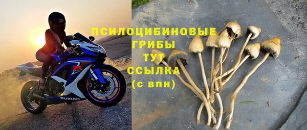 бошки Щучье