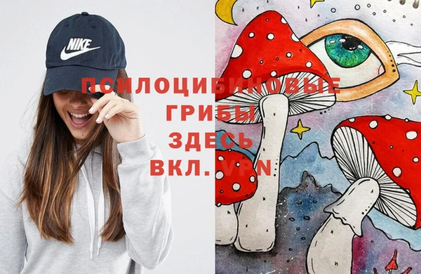 бошки Щучье